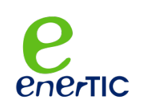 plataforma enertic